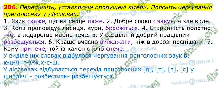 ГДЗ Українська мова 10 клас сторінка 206